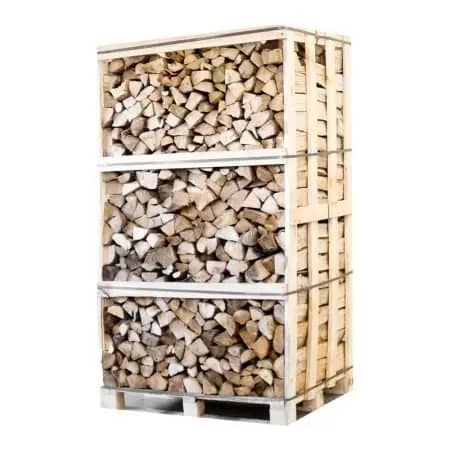 Ptuttit kammeressiccatoes spaccato Carpino Legna da arile 25cm